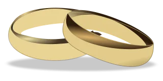 Wedding rings Wedding Marriage Stickdatei