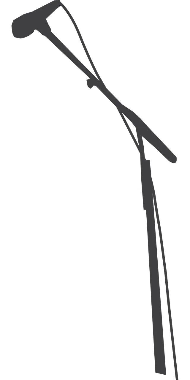 Concert Mic Microphone Stickdatei – Musik
