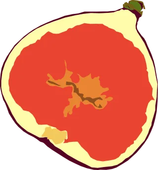Fig Mediterranean Food Stickdatei