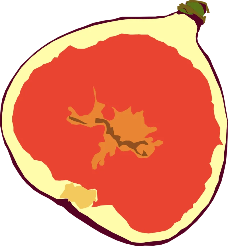 Fig Mediterranean Food Stickdatei – Essen & Trinken