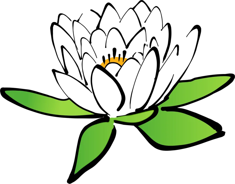 Lotus Flower wallpaper Water lily Stickdatei – Blumen