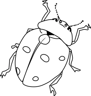 Ladybug Beetle Bug Stickdatei