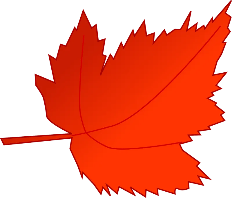 Maple Autumn Fall Stickdatei – Natur