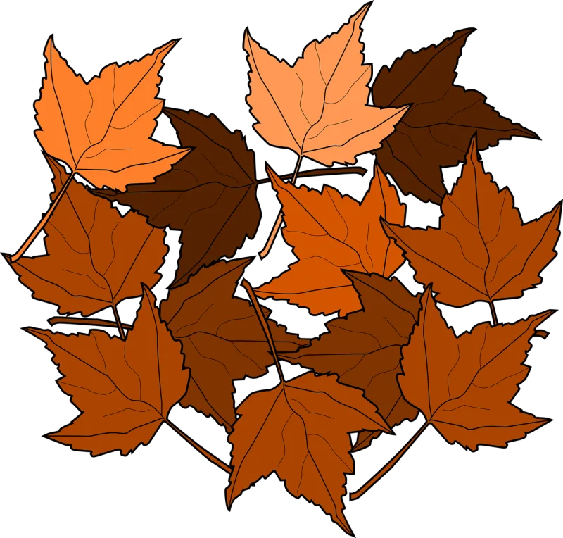 Maple Leaves Fall Stickdatei – Natur