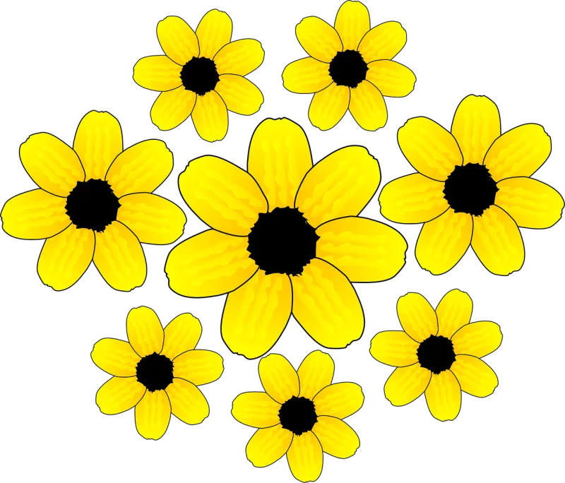 Sunflowers Nature Flowers Stickdatei – Blumen