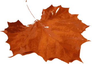 Maple Foliage Fall Stickdatei