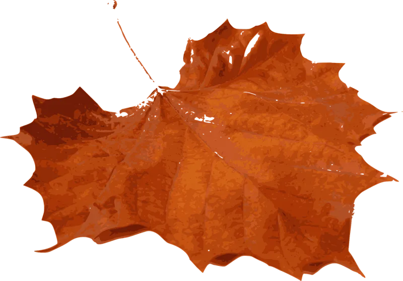 Maple Foliage Fall Stickdatei – Natur