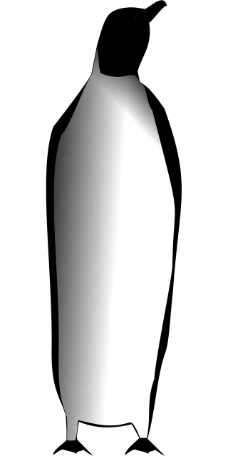 Emperor penguin Penguin Nature Stickdatei