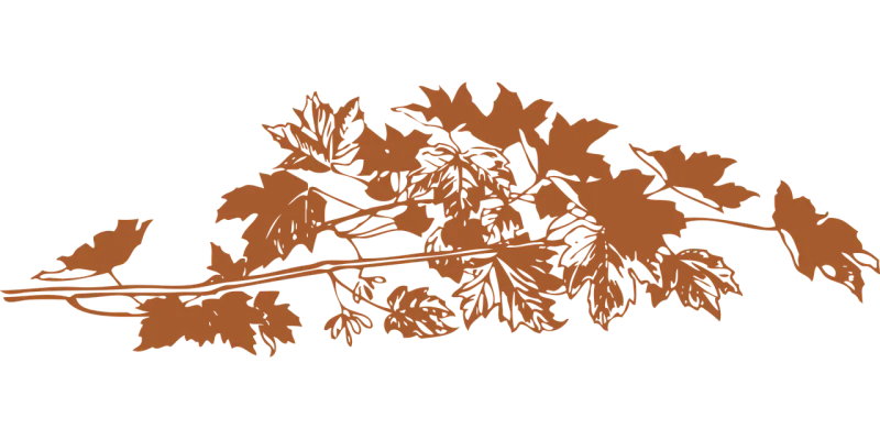 Foliage Autumn Nature Stickdatei – Natur