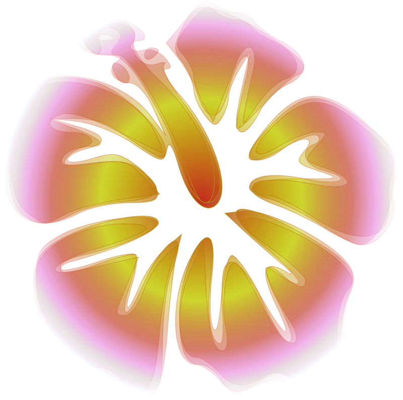 Hibiscus Rose of sharon Decoration Stickdatei – Blumen