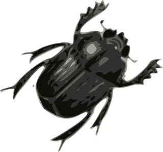 Beetle Nature Bug Stickdatei