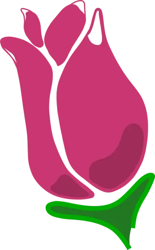 Rose Beautiful flowers Blossom Stickdatei – Blumen
