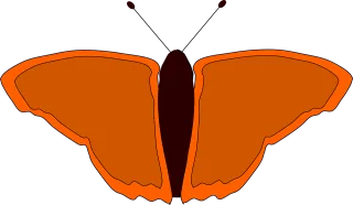 Butterfly Insect Orange Stickdatei – Tiere