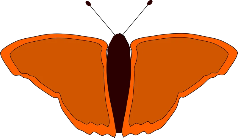 Butterfly Insect Orange Stickdatei – Tiere