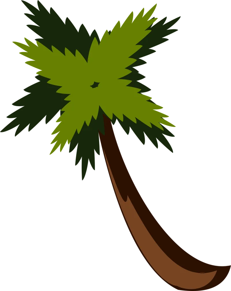 Palm tree Beach Jungle Stickdatei – Natur