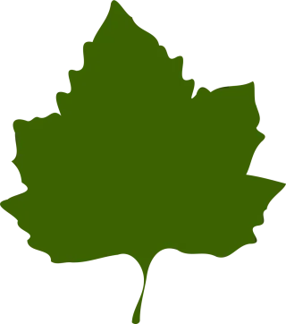 Maple Leaf Foliage Stickdatei