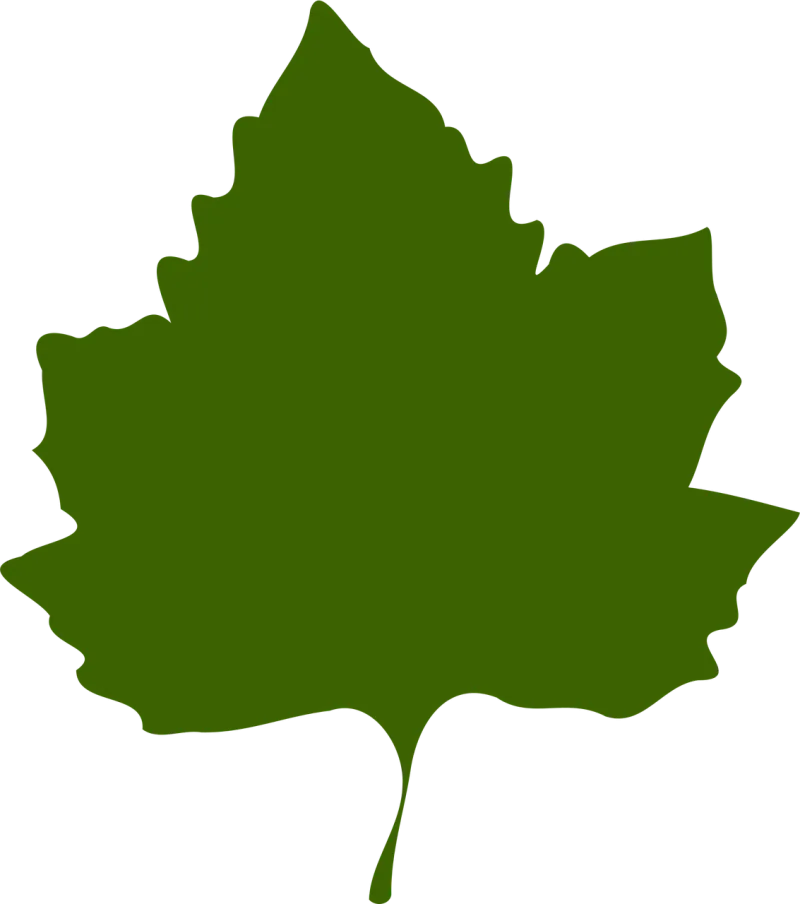 Maple Leaf Foliage Stickdatei – Natur