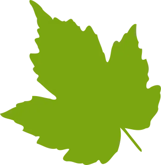 Maple Nature Leaf Stickdatei