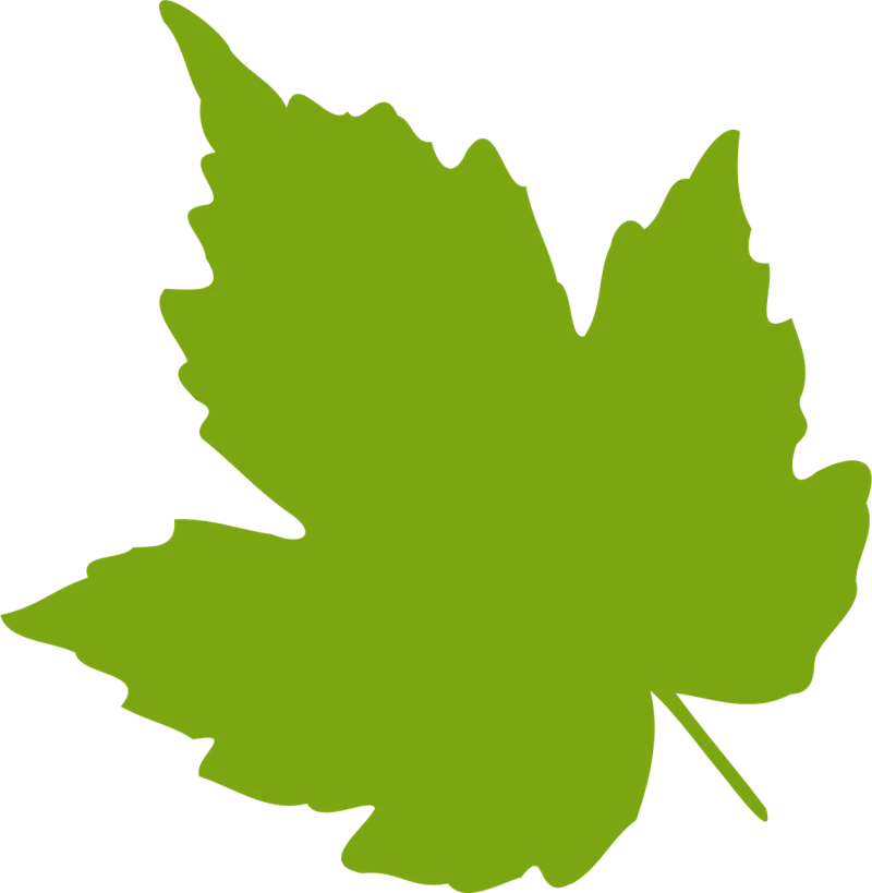 Maple Nature Leaf Stickdatei – Natur