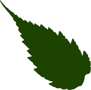 Leaf Foliage Greenery Stickdatei