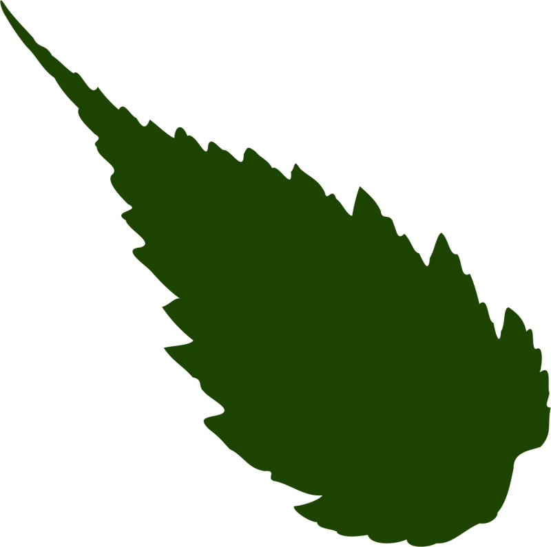 Leaf Foliage Greenery Stickdatei – Natur