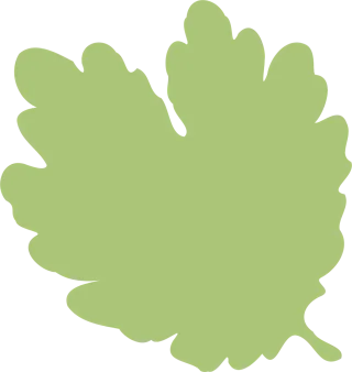 Leaf Nature Foliage Stickdatei