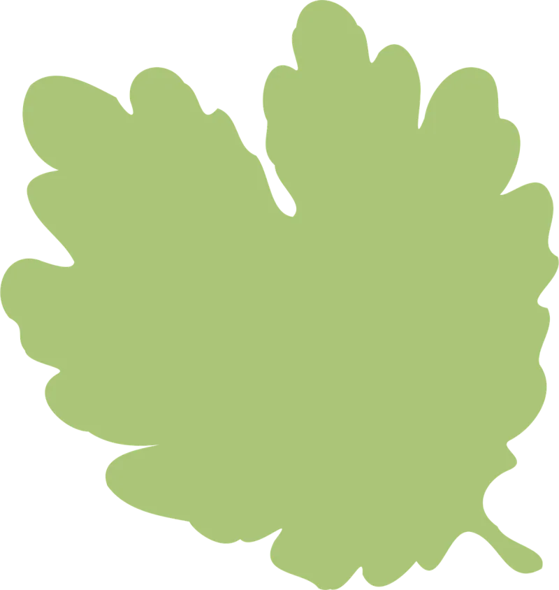 Leaf Nature Foliage Stickdatei – Natur