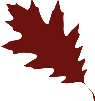 Oak Leaf Foliage Stickdatei