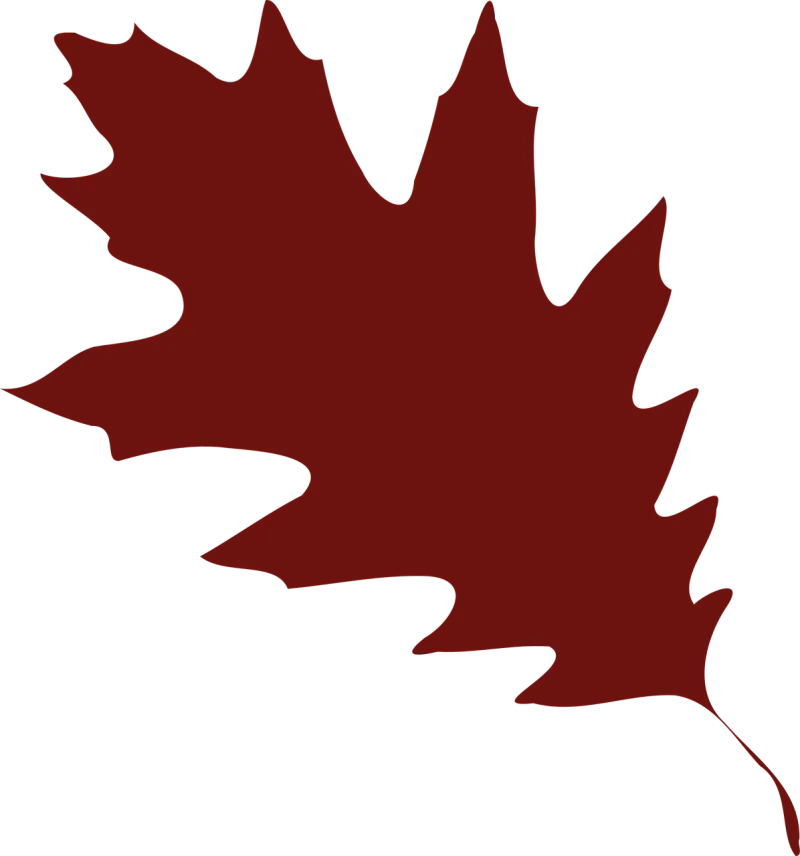 Oak Leaf Foliage Stickdatei – Natur