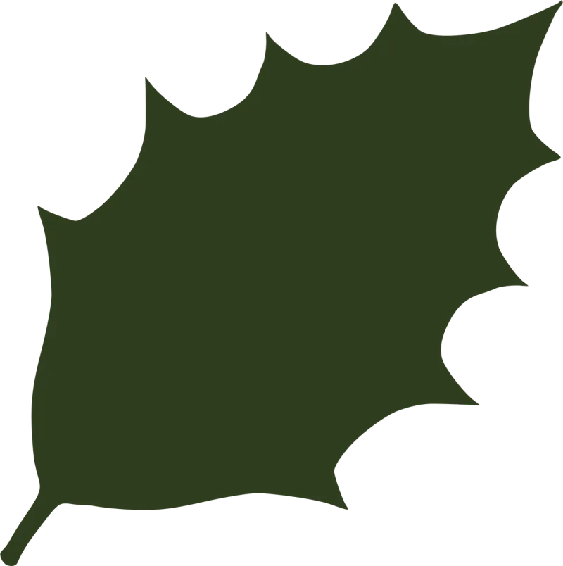 Holly Ilex aquifolium Ilex Stickdatei – Natur