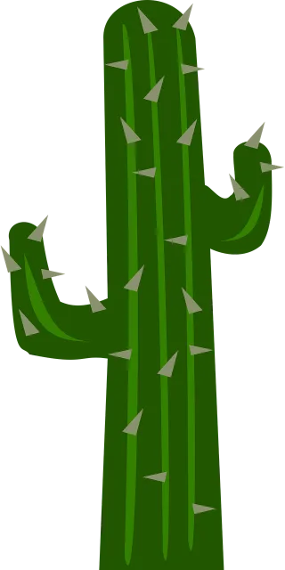 Cacti Cactus Garden Stickdatei