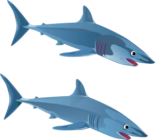 Shark Fish Nature Stickdatei