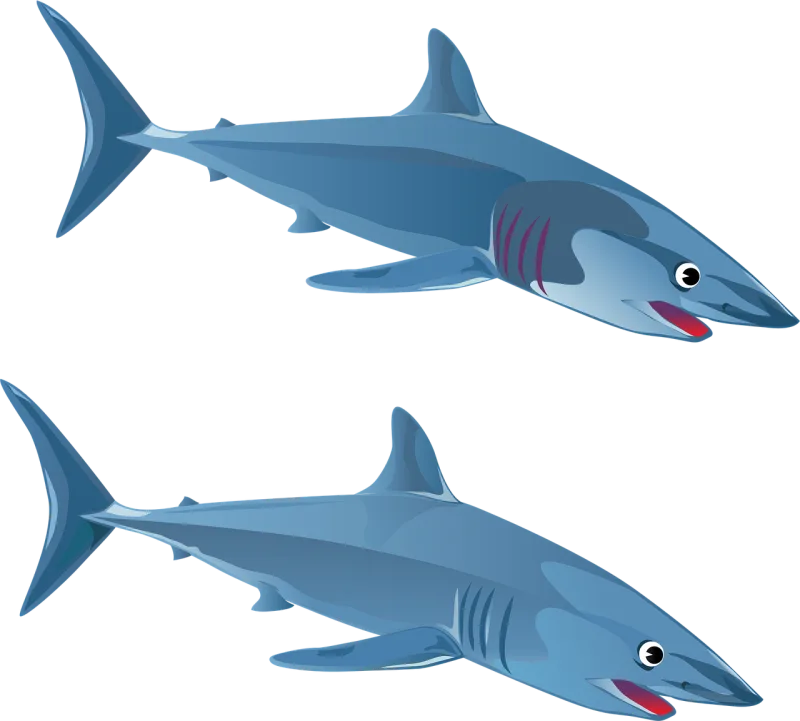 Shark Fish Nature Stickdatei – Sport