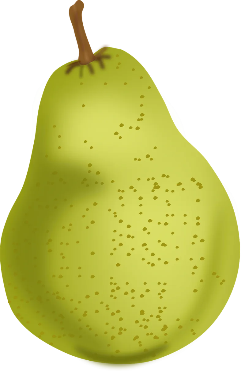 Pear Food Fruit Stickdatei – Essen & Trinken
