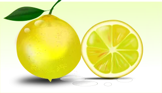 Citrus Lemon Citrus fruit Stickdatei
