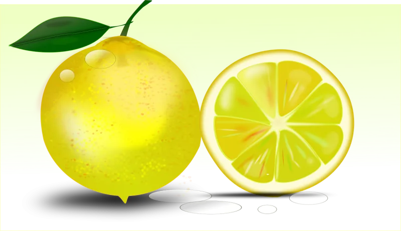Citrus Lemon Citrus fruit Stickdatei – Essen & Trinken
