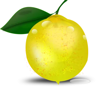 Citrus Lemon Citrus fruit Stickdatei – Essen & Trinken