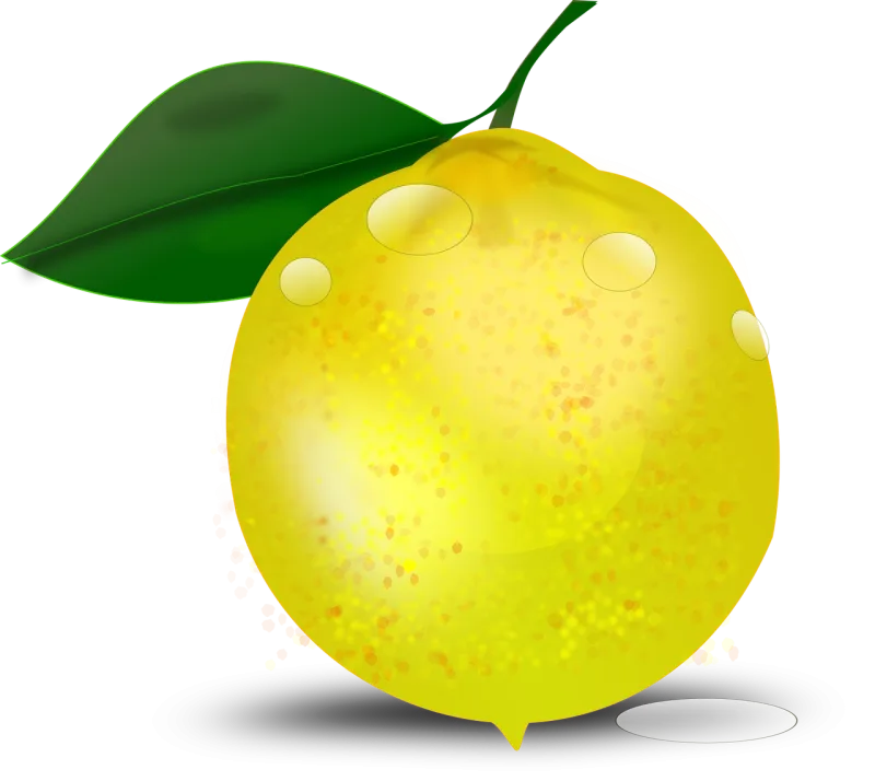 Citrus Lemon Citrus fruit Stickdatei – Essen & Trinken