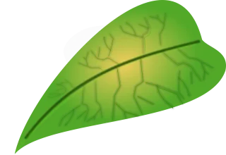 Leaf Biology Green Stickdatei – Natur