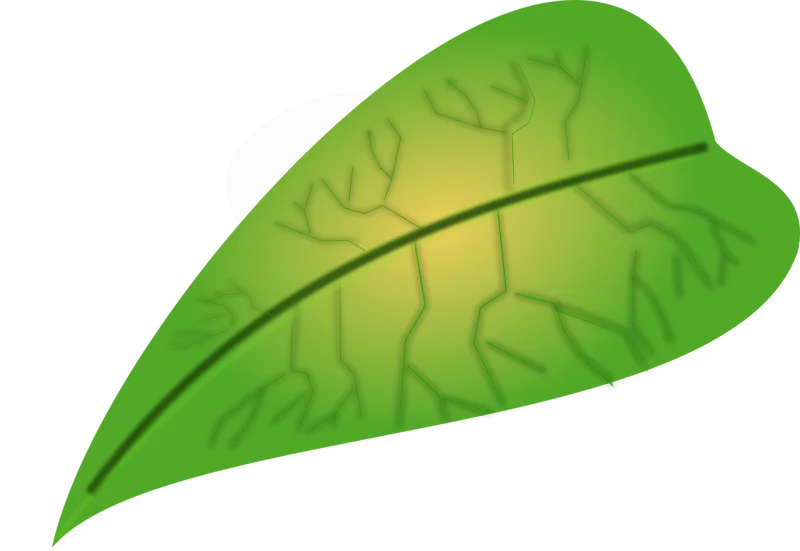 Leaf Biology Green Stickdatei – Natur