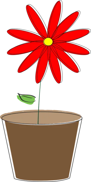 Potted plant Flower Daisy Stickdatei