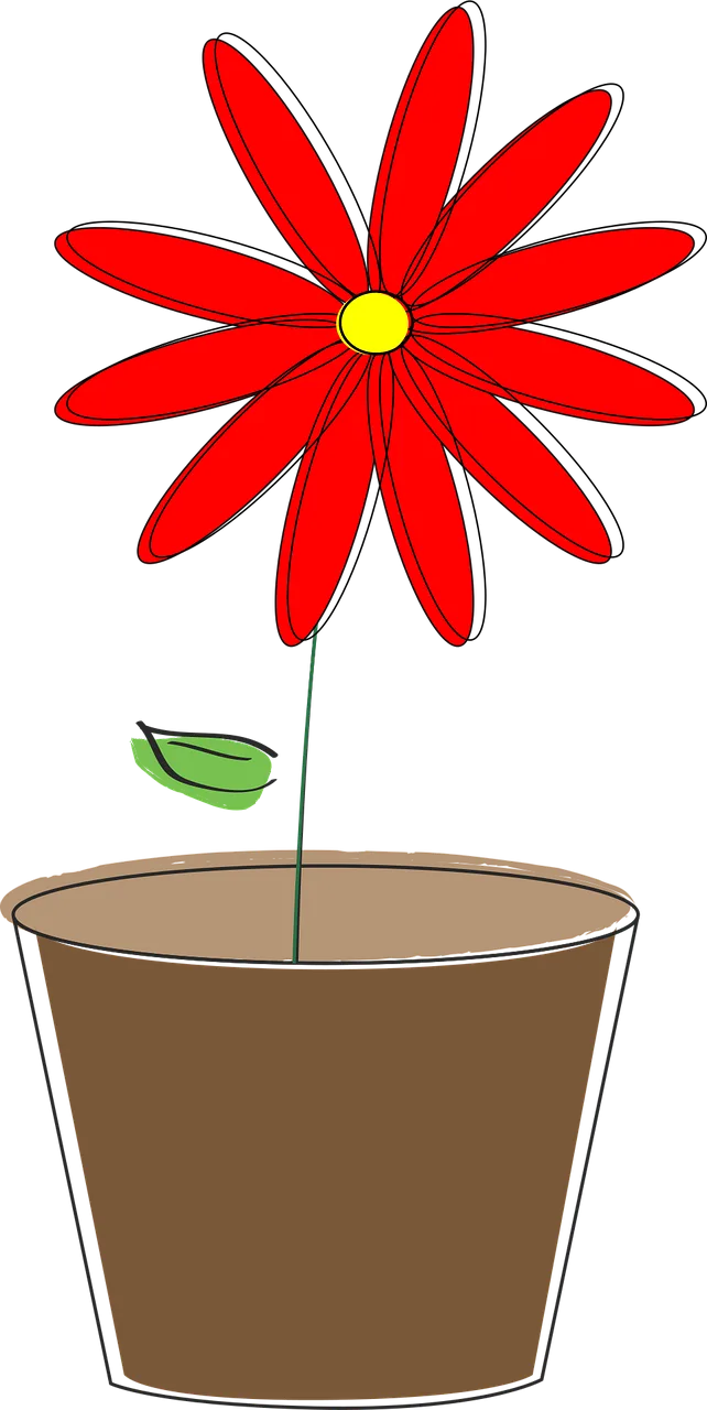 Potted plant Flower Daisy Stickdatei – Blumen