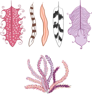 Feather Ethnic Elegant Stickdatei