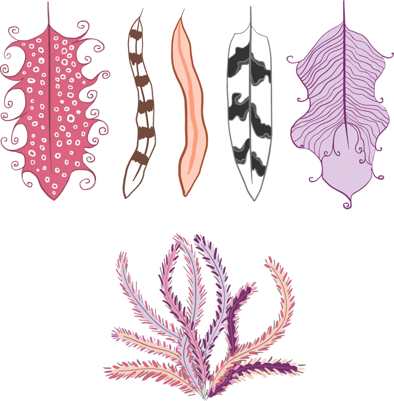 Feather Ethnic Elegant Stickdatei – Blumen