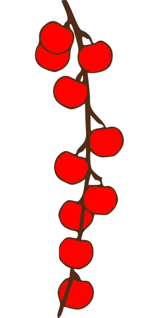 Apples Branch Fruit Stickdatei