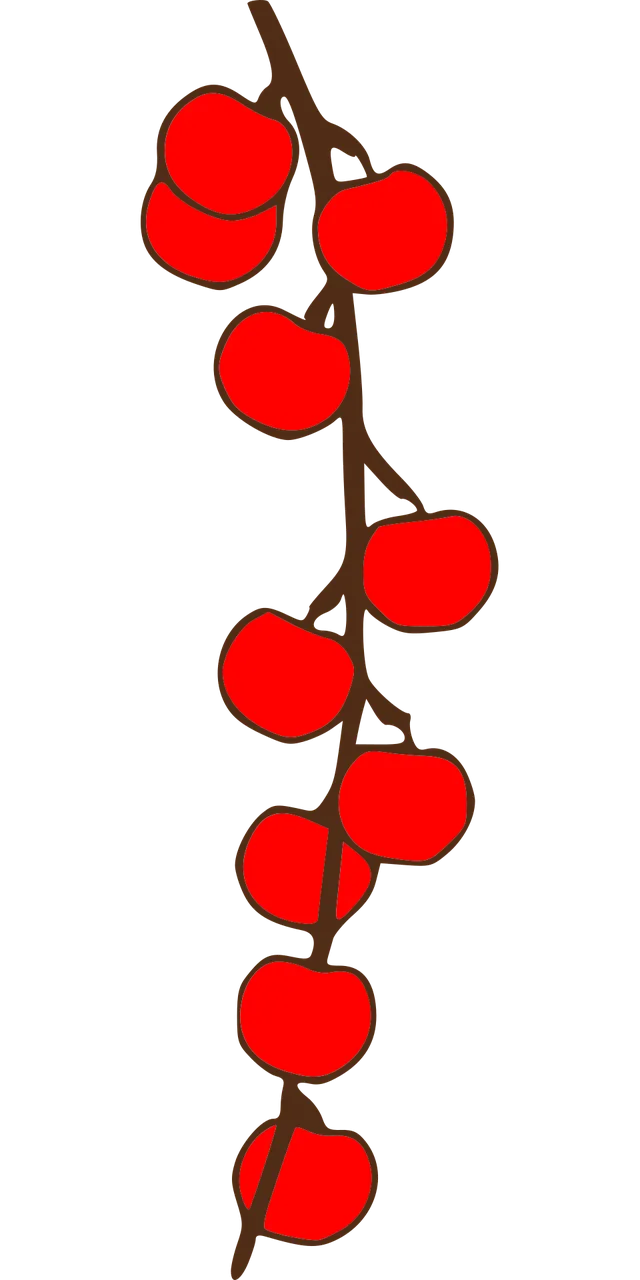 Apples Branch Fruit Stickdatei – Essen & Trinken