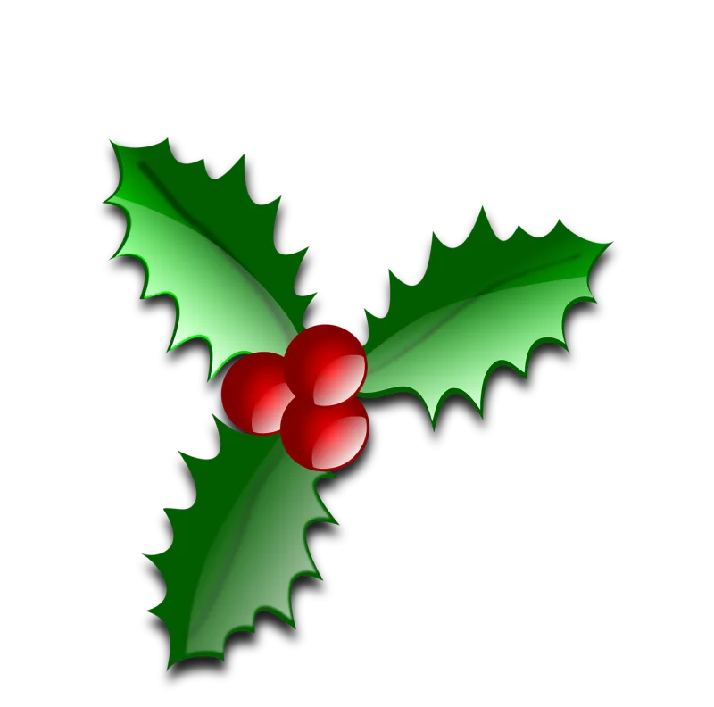 Holly Ilex Nature Stickdatei – Weihnachten