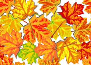 Autumn Foliage Fall Stickdatei