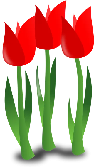 Tulips Beautiful flowers Flowers Stickdatei