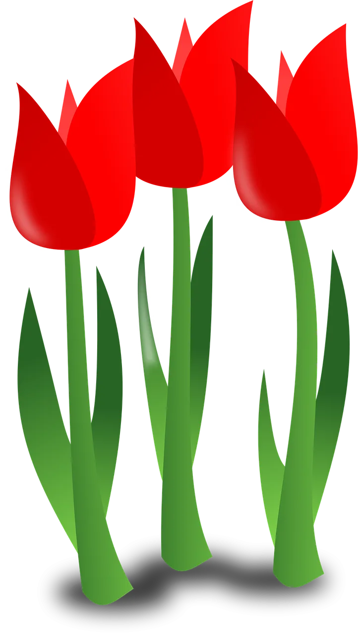 Tulips Beautiful flowers Flowers Stickdatei – Blumen